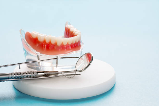 Best Preventive Dentistry  in Level Plains, AL